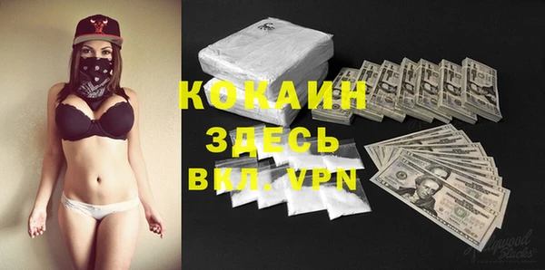 apvp Горняк