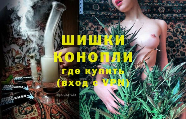 apvp Горняк