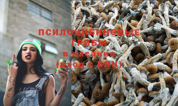 спайс Горнозаводск